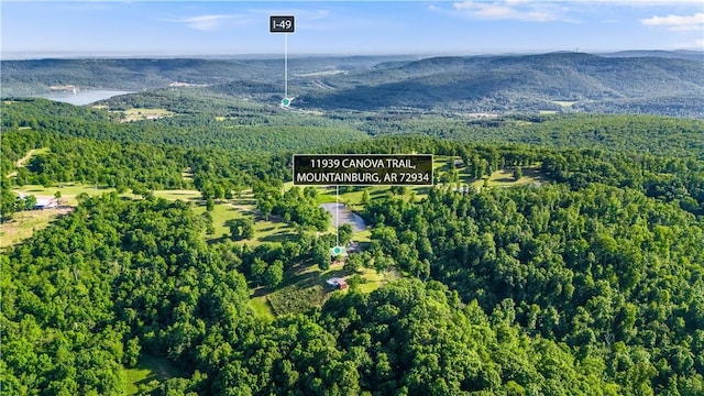11939 Canova Trl, Mountainburg, AR 72946 - photo 3