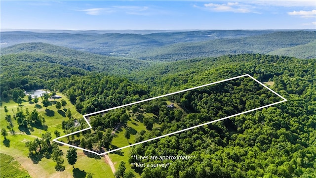 11939 Canova Trl, Mountainburg, AR 72946 - photo 38