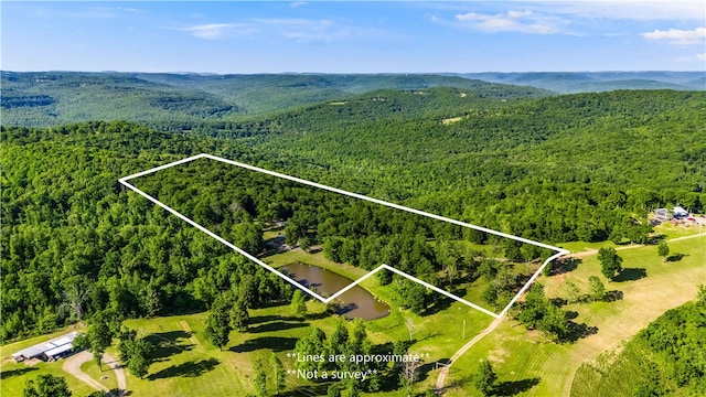 11939 Canova Trl, Mountainburg, AR 72946 - photo 37
