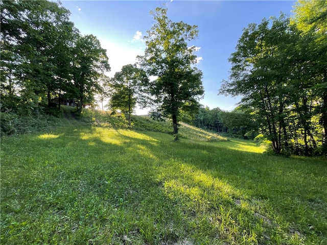 11939 Canova Trl, Mountainburg, AR 72946 - photo 46