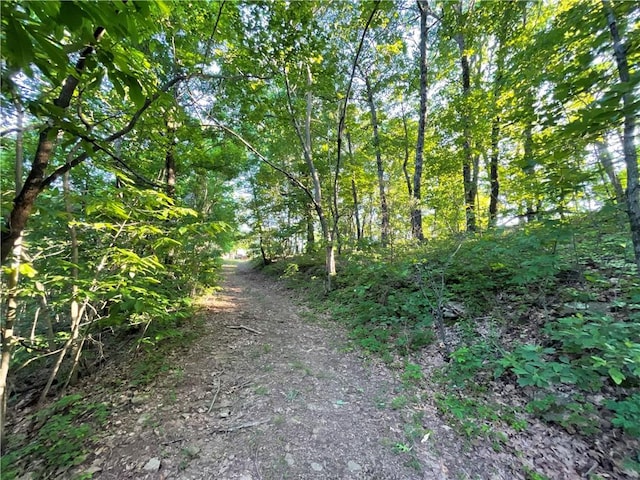 11939 Canova Trl, Mountainburg, AR 72946 - photo 48