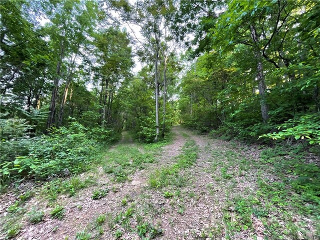 11939 Canova Trl, Mountainburg, AR 72946 - photo 49