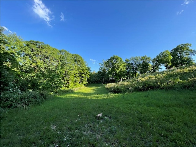 11939 Canova Trl, Mountainburg, AR 72946 - photo 47