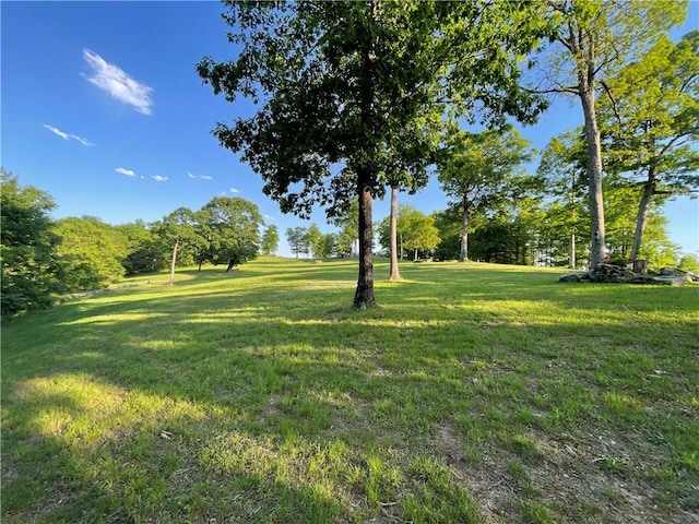 11939 Canova Trl, Mountainburg, AR 72946 - photo 44