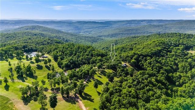 11939 Canova Trl, Mountainburg, AR 72946 - photo 41