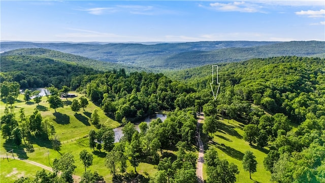 11939 Canova Trl, Mountainburg, AR 72946 - photo 42