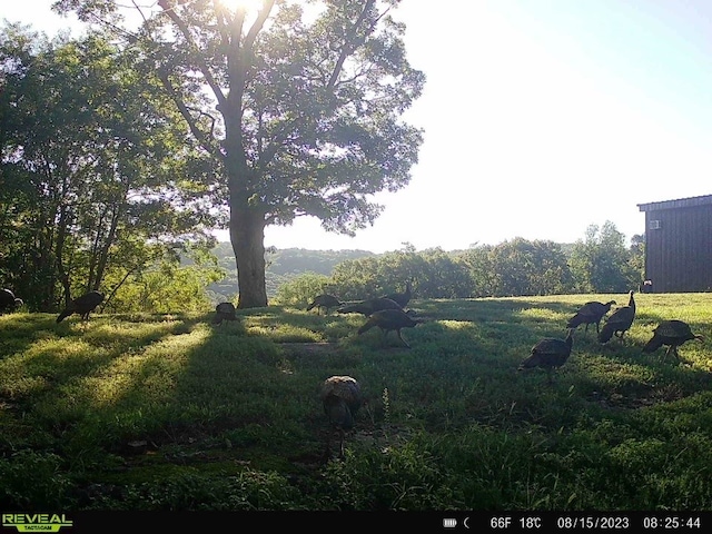 11939 Canova Trl, Mountainburg, AR 72946 - photo 54