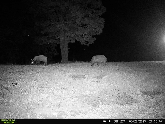 11939 Canova Trl, Mountainburg, AR 72946 - photo 55