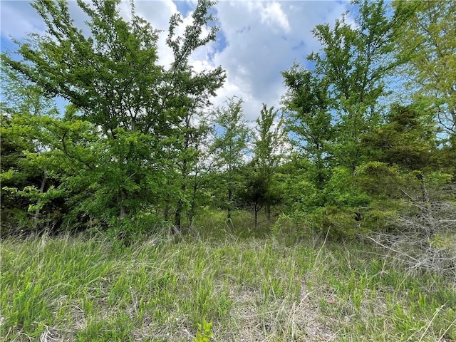 Posy Mountain Dr, Garfield, AR 72732