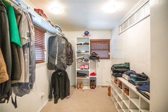 3 Rader Ln, Bella Vista, AR 72714 - walk in closet with carpet