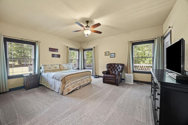 4218 Homewoods Dr, Little Flock, AR 72756 - bedroom with light carpet and multiple windows