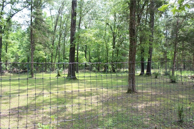 1739 Mc 6070, Flippin, AR 72634 - view of yard