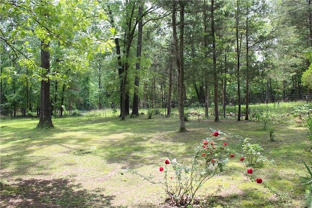 1739 Mc 6070, Flippin, AR 72634 - view of yard featuring a wooded view