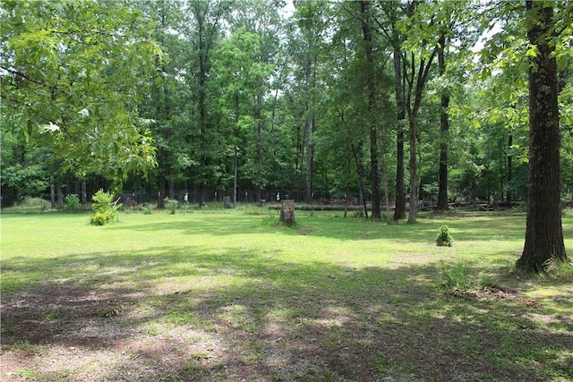 1739 Mc 6070, Flippin, AR 72634 - view of yard featuring a forest view