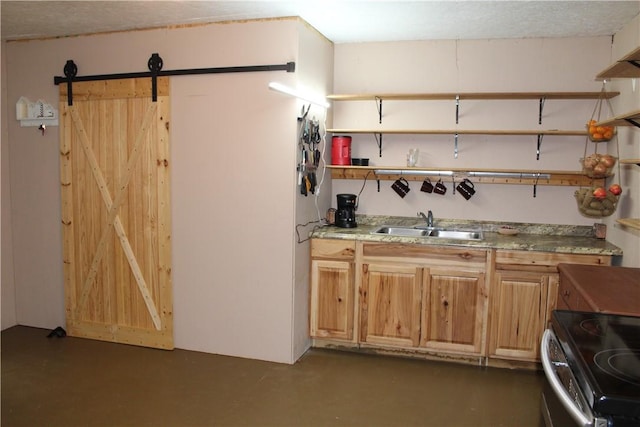 1739 Mc 6070, Flippin, AR 72634 - kitchen with open shelves, a sink, finished concrete flooring, a barn door, and electric stove