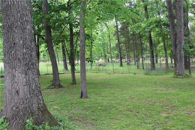 1739 Mc 6070, Flippin, AR 72634 - view of grassy yard
