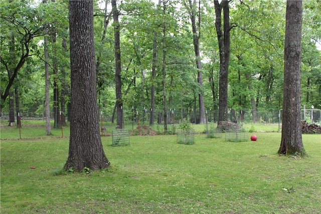 1739 Mc 6070, Flippin, AR 72634 - view of yard