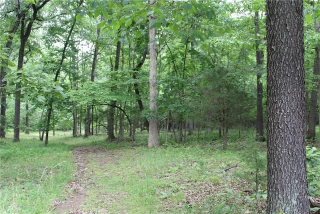 1739 Mc 6070, Flippin, AR 72634 - view of woods