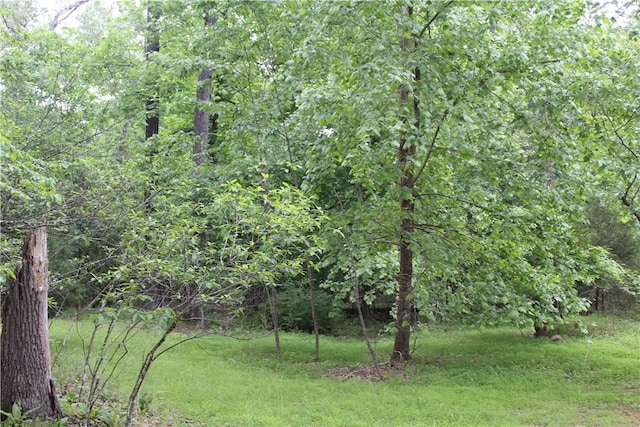 1739 Mc 6070, Flippin, AR 72634 - view of yard featuring a wooded view