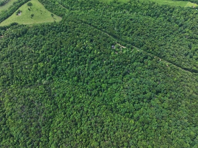 1619 Stone Rd, Noel, MO 64854