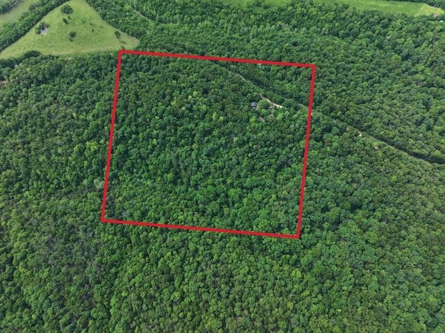 1619 Stone Rd, Noel, MO 64854