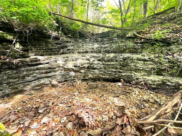 1619 Stone Rd, Noel, MO 64854