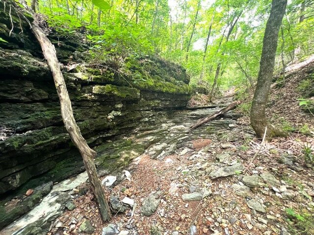 1619 Stone Rd, Noel, MO 64854