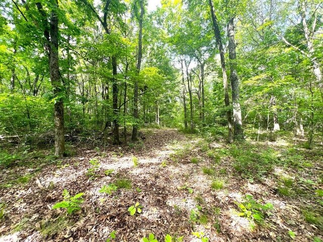 1619 Stone Rd, Noel, MO 64854