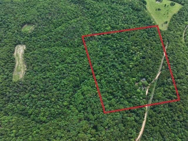 1619 Stone Rd, Noel, MO 64854