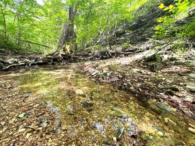 1619 Stone Rd, Noel, MO 64854