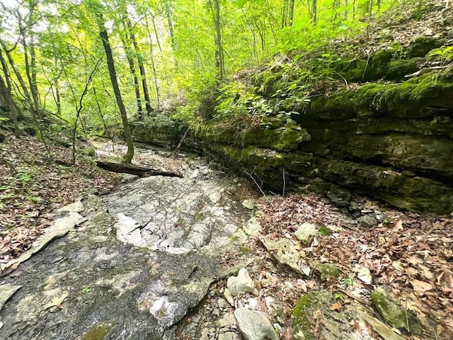 1619 Stone Rd, Noel, MO 64854