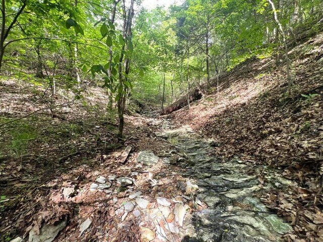 1619 Stone Rd, Noel, MO 64854