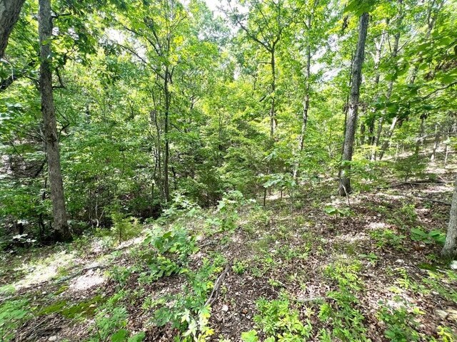 1619 Stone Rd, Noel, MO 64854