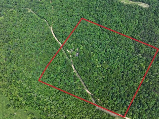 1619 Stone Rd, Noel, MO 64854
