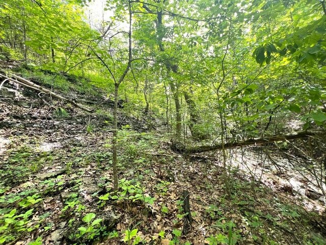 1619 Stone Rd, Noel, MO 64854
