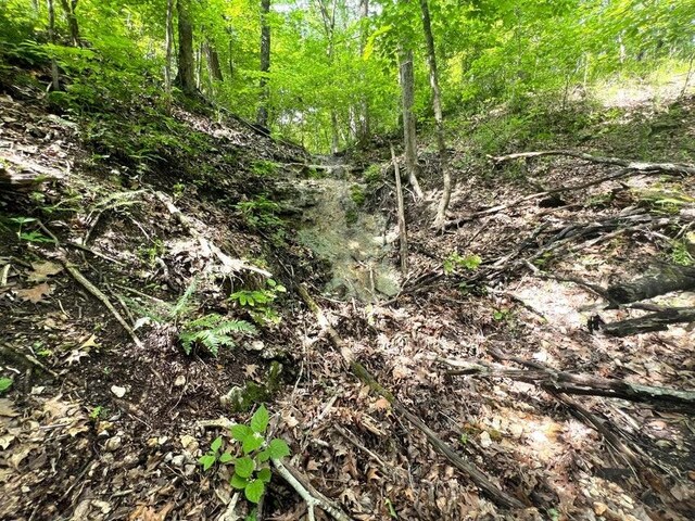 1619 Stone Rd, Noel, MO 64854