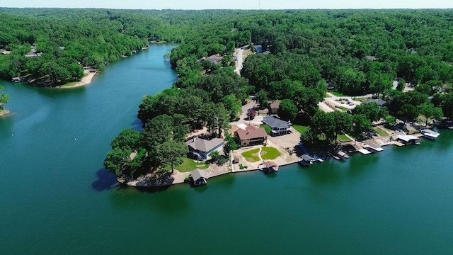 6 Portsmouth Ln, Bella Vista, AR 72715 - aerial overview of property's location with a heavily wooded area and a large body of water
