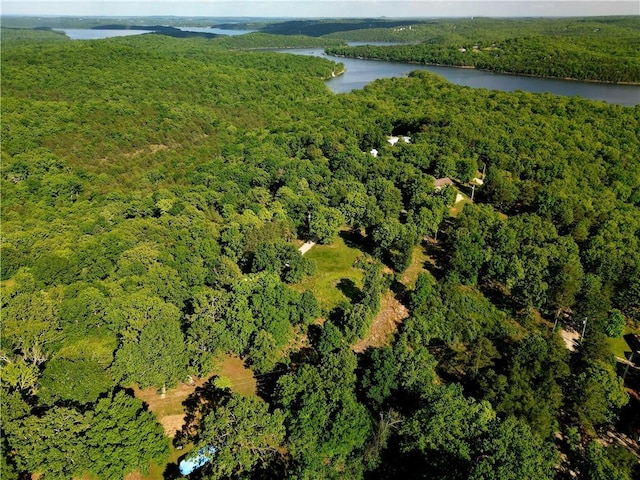 County Road 175, Mountain Home, AR 72653