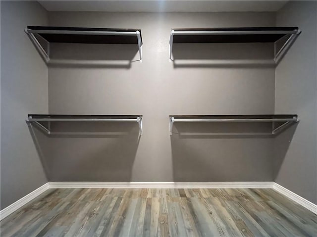 2103 Highland Ct, Dardanelle, AR 72834 - view of closet