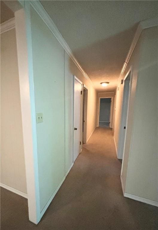 1010 Sherman Ave, Harrison, AR 72601 - corridor with ornamental molding, carpet, and baseboards