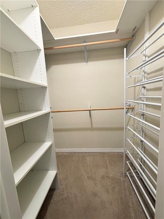 1010 Sherman Ave, Harrison, AR 72601 - spacious closet with carpet floors