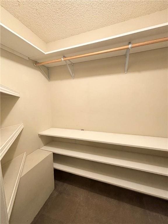 1010 Sherman Ave, Harrison, AR 72601 - view of walk in closet