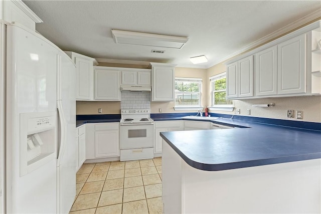 4730 Woodside Ln, Springdale, AR 72762 - kitchen featuring white appliances, under cabinet range hood, a peninsula, a sink, and open shelves