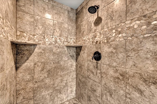 1805 SW Birch St, Bentonville, AR 72713 - bathroom view of tiled shower