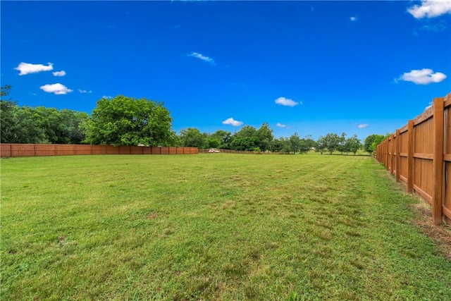 12549 Little Elm Rd, Farmington, AR 72730 - view of yard