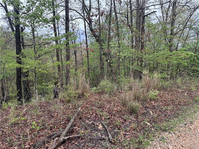 LOT40BLOCK3 Havant Cir, Bella Vista, AR 72714