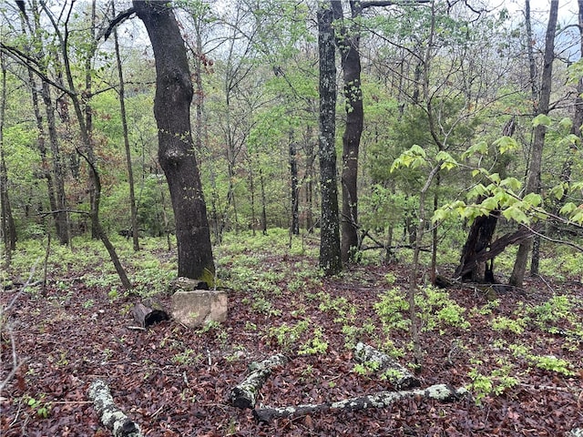 LOT40BLOCK3 Havant Cir, Bella Vista, AR 72714