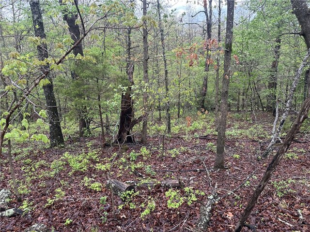 LOT40BLOCK3 Havant Cir, Bella Vista, AR 72714