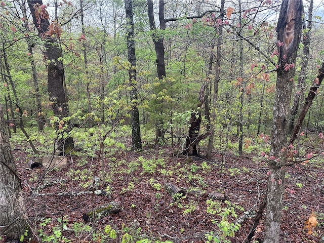 LOT40BLOCK3 Havant Cir, Bella Vista, AR 72714