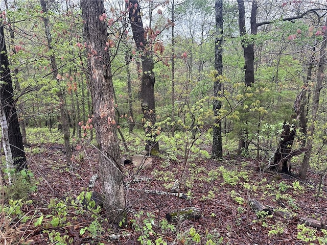 LOT40BLOCK3 Havant Cir, Bella Vista, AR 72714